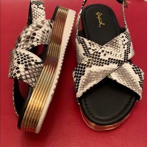 Faux Reptile Skin Summer Sandals